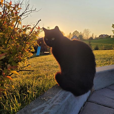 Domki Pod Lasem Villa Rokiciny Podhalanskie Esterno foto