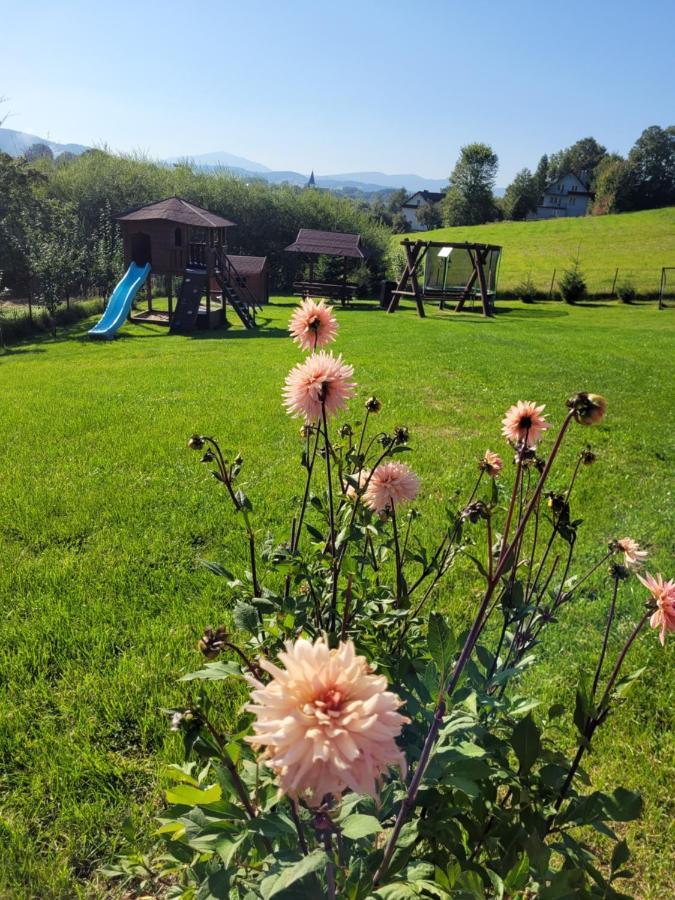 Domki Pod Lasem Villa Rokiciny Podhalanskie Esterno foto