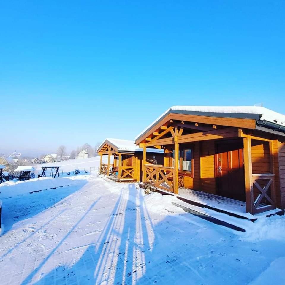 Domki Pod Lasem Villa Rokiciny Podhalanskie Esterno foto