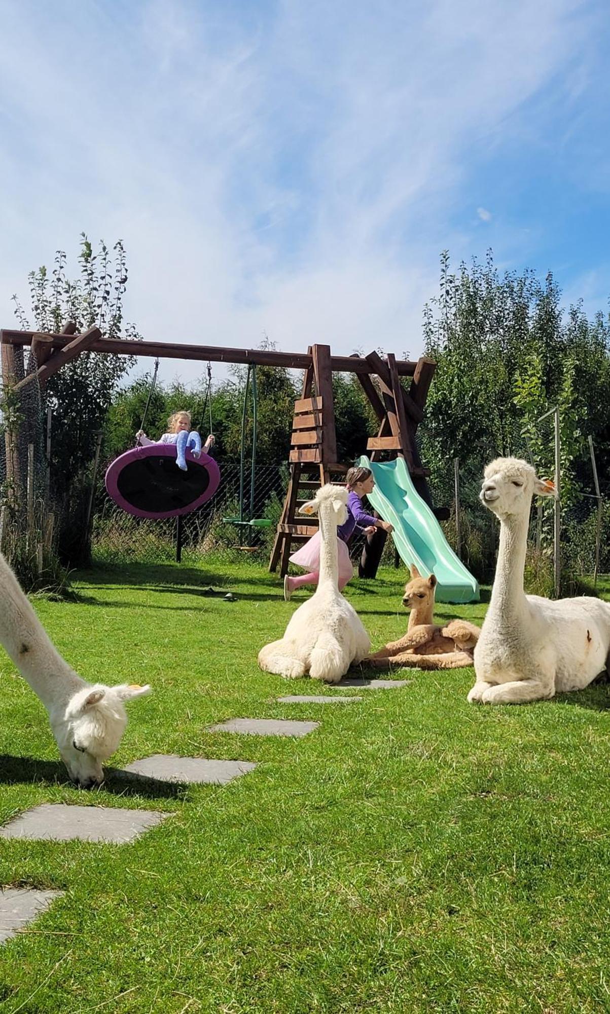 Domki Pod Lasem Villa Rokiciny Podhalanskie Camera foto
