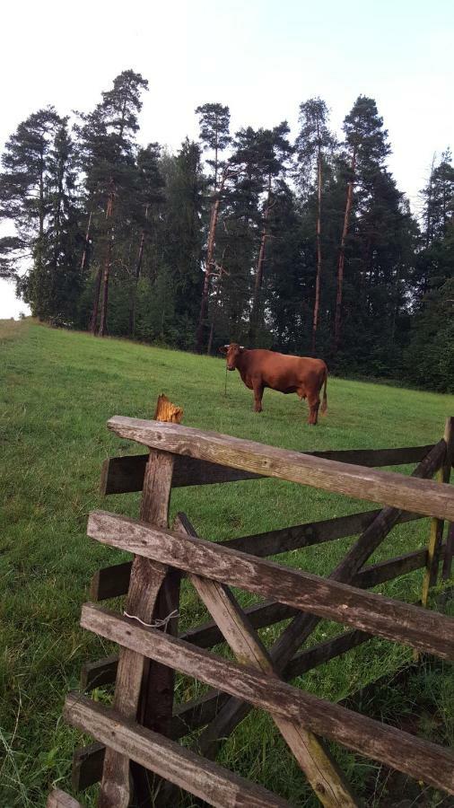 Domki Pod Lasem Villa Rokiciny Podhalanskie Esterno foto